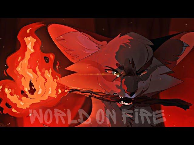 World On Fire||Warrior cats||Ashfur||Уголёк коты воители~