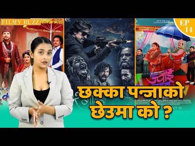 छक्का पन्जाको छेउमा को ? Filmy Buzz 14 || Suraksha Bhattarai || Chhakka Panja 5 , 12Gaun , Jwai Saab