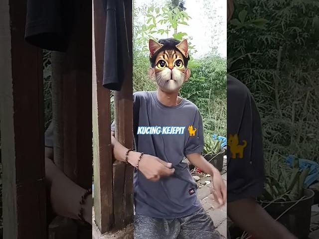 #kucing kejepit #feedshorts #shorts #feed #fypシ゚ #fypshorts #comedy #trending #funny #lucu #memes