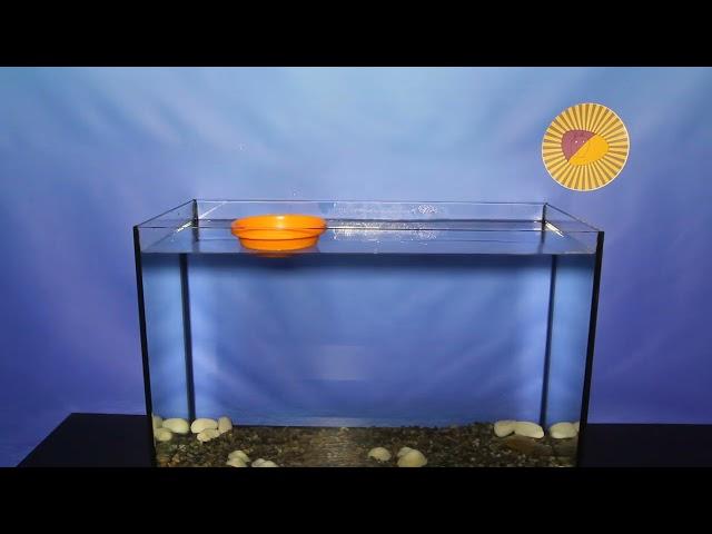 Sink or Float - IKEA Childrens Plate