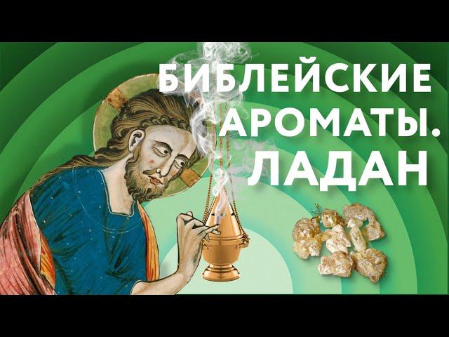 Библейские ароматы. Ладан