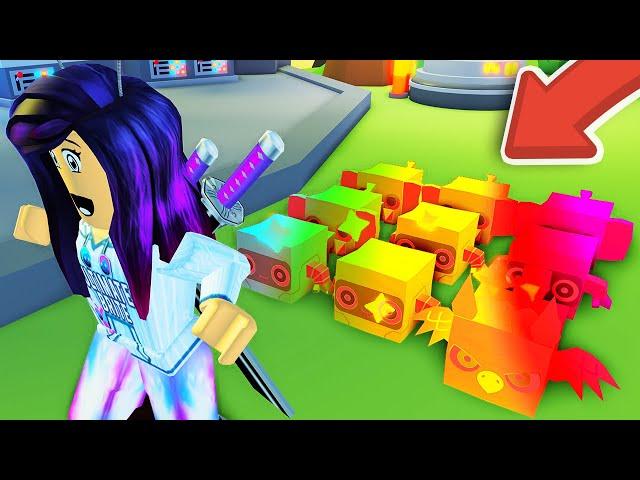 How I Got a FULL VOLCANO RAINBOW PET TEAM in Roblox Pet Simulator 2