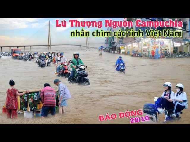 BÁO KHẨN: Lũ thượng nguồn Campuchia ào ạt đổ về nhấn chìm nhiều tỉnh miền tây Việt Nam