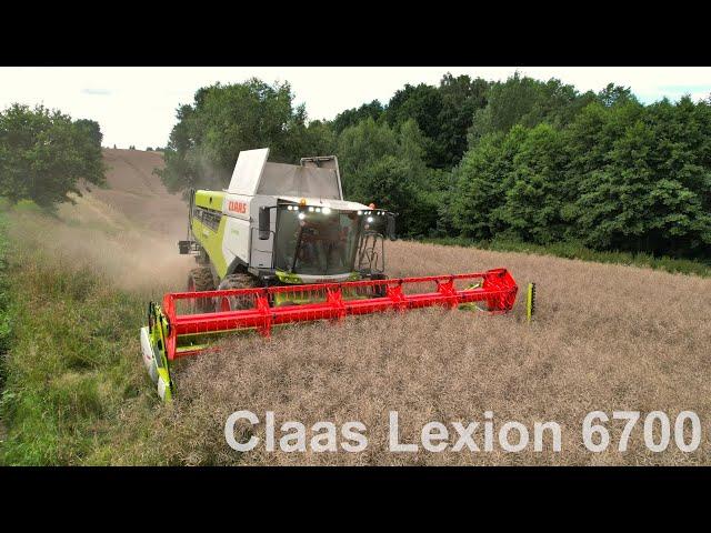 Claas Lexion 6700 | Pokaz Polowy z Firmą ŚWIERKOT