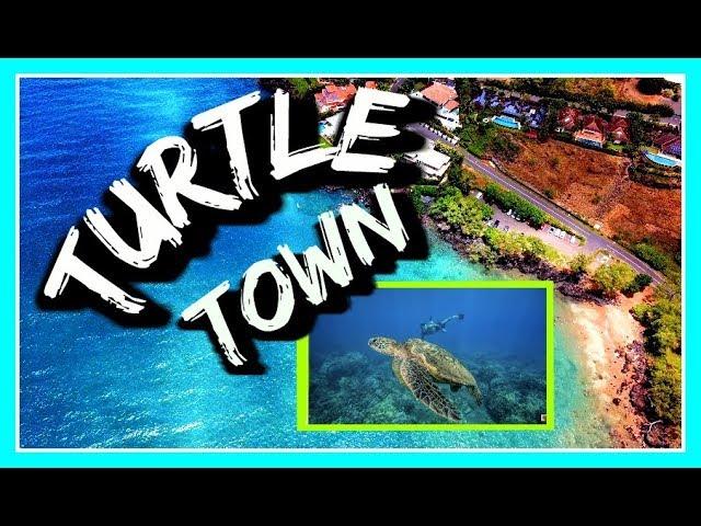 TurtleTown Snorkeling, Maluaka Beach Maui, Hawaii, Turtles