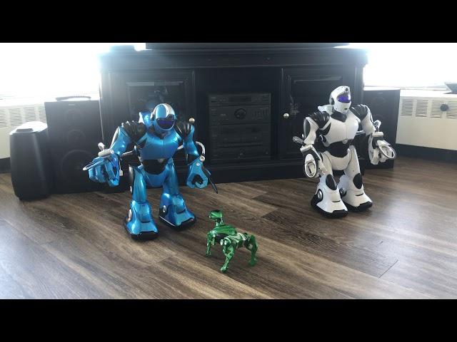 Refurbished Wowwee Robosapien V2 showcase