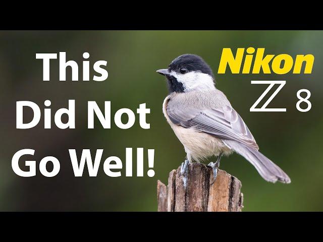 Nikon Z8 Bird Photography Struggles & Mistakes!