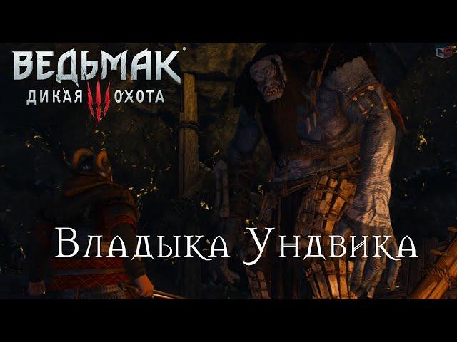 Ведьмак 3 "Владыка Ундвика". Как найти человека схваченного троллями при прохождении квеста?