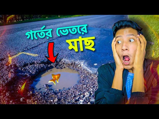 Fish In Danger- I Am Fish Part 4 || The Bangla Gamer