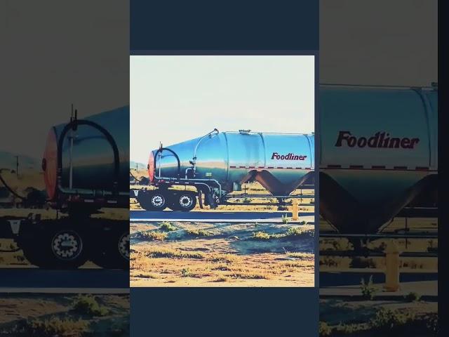 American Truckers on the Freeway