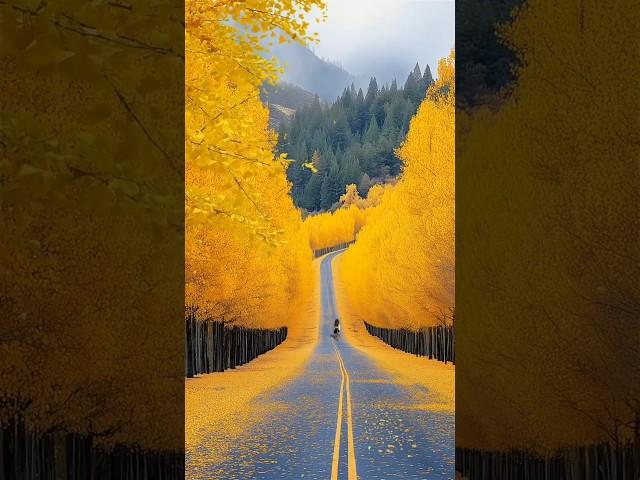 Most places in the world mystery #explore #advanture #nature #travel #mystery