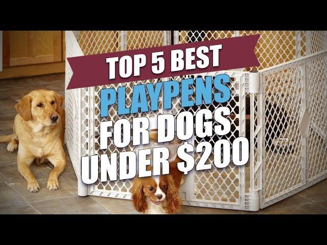 Top 5 Best Playpens for Dogs under $200