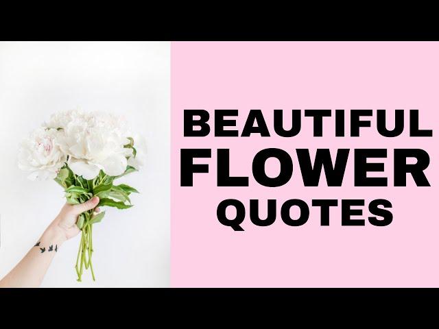 Flower Quotes | Top 10 Beautiful Flower Quotes | Quote Of The Day