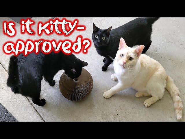 My cats review the viral Organ Slinky Cardboard scratcher toy...