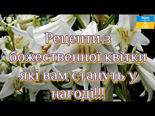 Рецепти з божественної квітки які вам стануть у нагоді