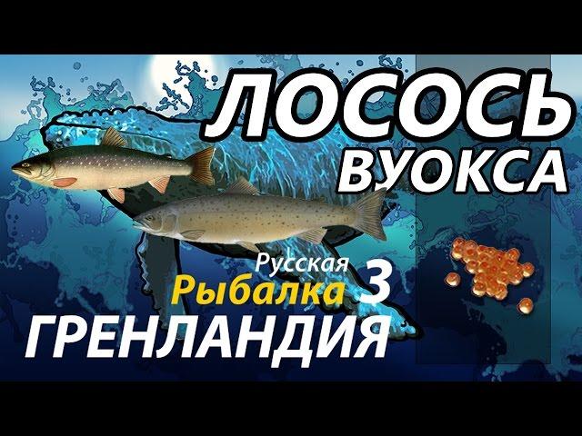 Лосось Вуокса Качаемся с 18 до 30 разряда / РР3 [Русская Рыбалка 3 Гренландия]