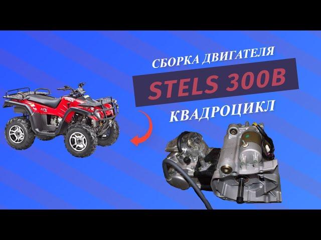 stels 300b - Подробный гайд как собрать двигатель на квадроцикл