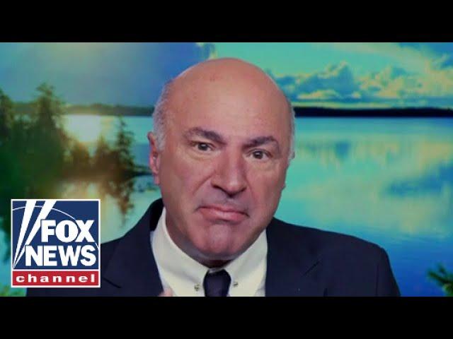 Kevin O'Leary: This may prove to be a huge mistake for the Democrats