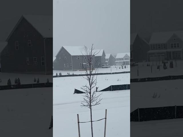 #snow #snowfall #snowrunner