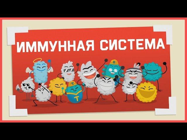 Edu: Как работает иммунная система человека