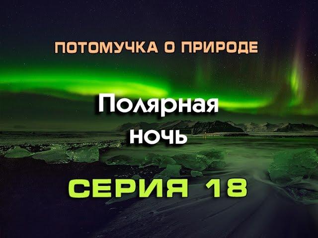 Потомучка о природе 18. Полярная ночь