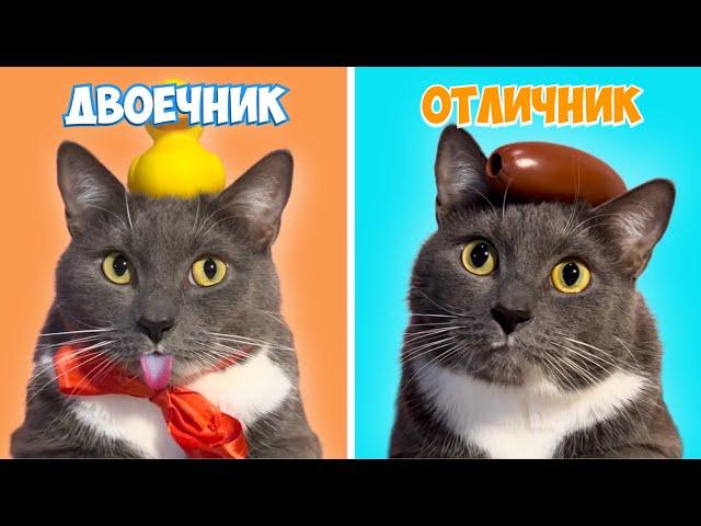 ТИПЫ УЧЕНИКОВ - ЕСЛИ БЫ КОТИКИ ХОДИЛИ В ШКОЛУ