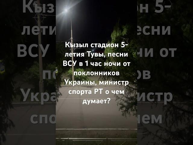 В час ночи поклонники Украины и ее армии не дают нам спать в Туве: Украина-Кокаина