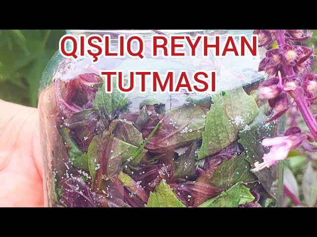 QIŞLIQ REYHAN TUTMASI / БАЗИЛИКА НА ЗИМУ / KIŞLIK REYHAN / METBEX LEZZETLERİ