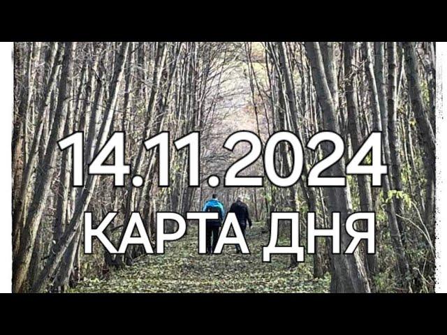 14 ноября 2024 | карта дня | все знаки зодиака 🃏