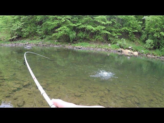 RIVER FISHING for Trout, Bass & Sunfish