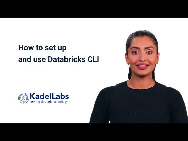 How to set up and use Databricks CLI