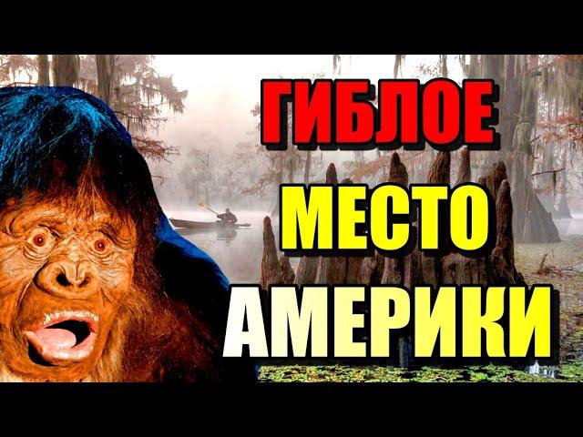 ГИБЛОЕ МЕСТО АМЕРИКИ! Луизианские Болота"Призраков"! #болото