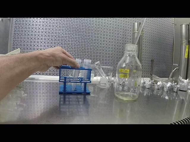 Agar Slant Preparation - Complete Procedure - May 2017