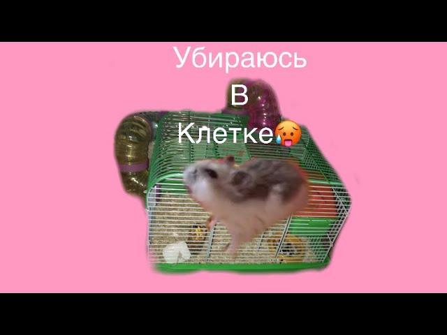 УБИРАЮСЬ В КЛЕТКЕ У ХОМЯКА/УБОРКА