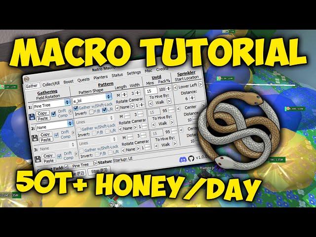 How to Macro in Bee Swarm Simulator (FULL TUTORIAL)