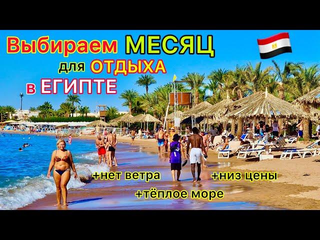 ЛУЧШИЙ месяц для ОТДЫХА в Египте⁉️ НИЗКАЯ ЦЕНА, тёплое МОРЕ. Когда НАДО лететь в Египет!