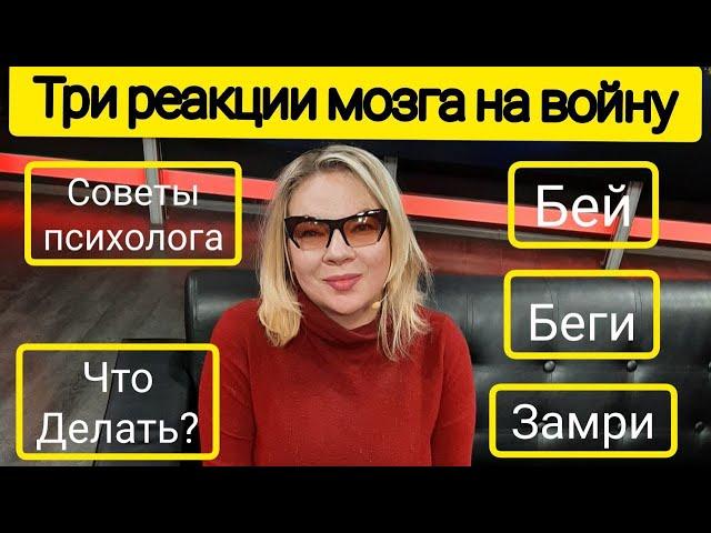 Психологическая помощь во время войны. Первый городской. Красная грань с Анной Искровой