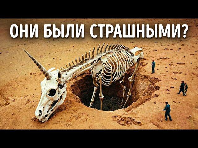 Подлинная история единорогов: да, они были реальными