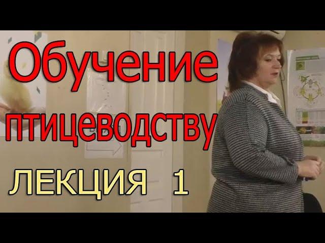 Лекция о птицеводстве | Обучение птицеводству