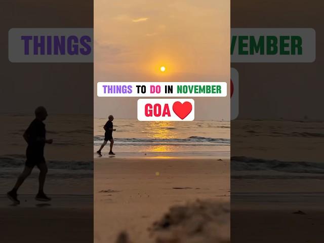 Things to Do in Goa (Nov 2024) | Goa travel | Goa Vlog | Goa trip | Goa Tour #goa #shorts #travel