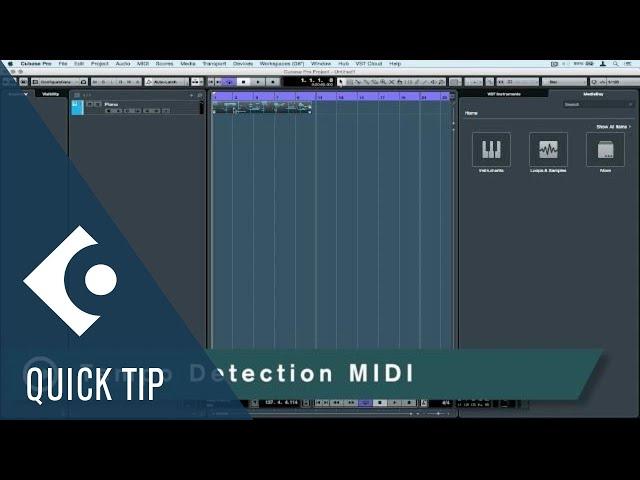 Tempo Detection MIDI | Audio Editing and Warping