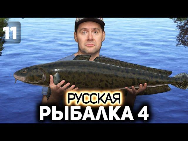 Ловим налимов и трофейного карася  Русская Рыбалка 4 [PC 2018] #11