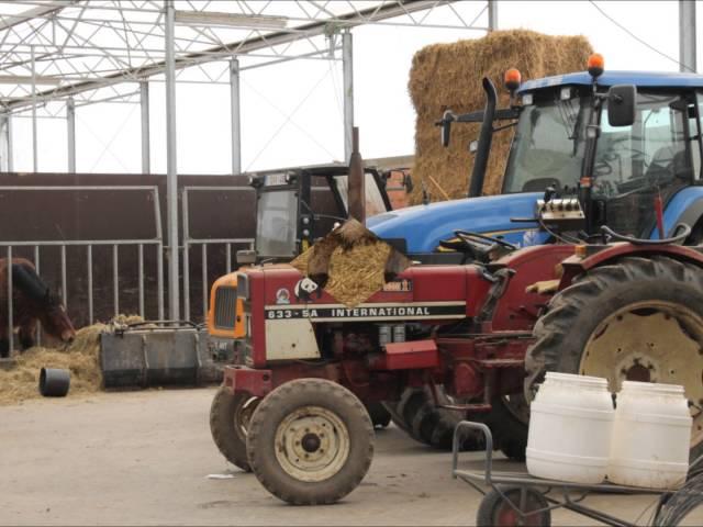 Lier' Kinderboerderij 't Struisvogelnest'