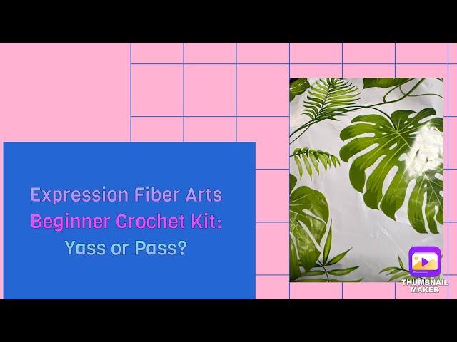 The Expression Fiber Arts Beginner Crochet Kit - Yass or Pass? #expressionfiberarts #crochet #review