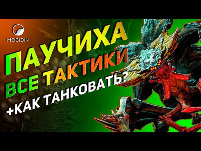 Как пройти паучиху в Raid? | Гайд новичку Raid shadow legends.