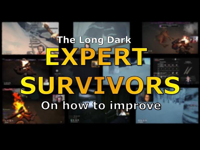 Survival Tips from The Long Dark Veteran Players