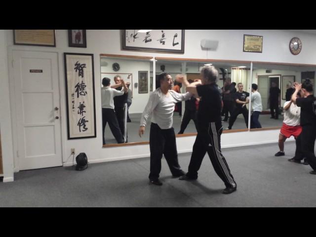 Chen Xiaoxing - San Diego Taijiquan Workshop