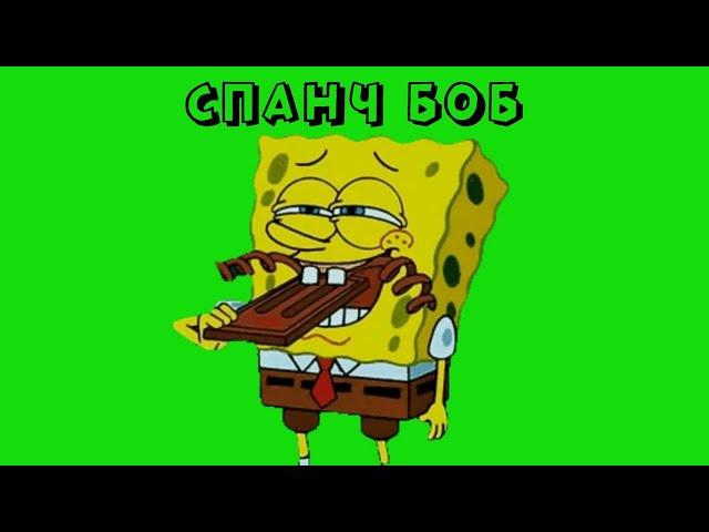 СПАНЧ БОБ и ШОКОЛАД на ЗЕЛЕНОМ ФОНЕ / ГУБКА БОБ ФУТАЖ / SPONGE BOB on GREEN SCREEN