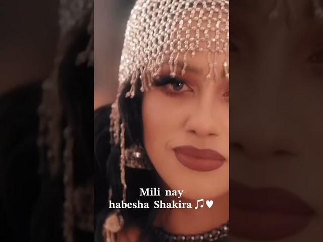 Mili habesha shekira