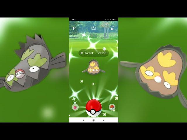  Shiny Galarian Stunfisk Spawn  Шайни Галариан Станфиск 